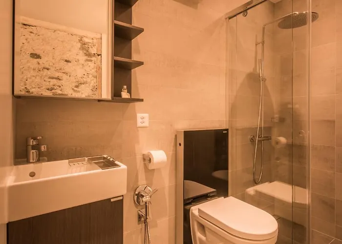 Appartamento Dependance Penthouse Interlaken