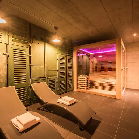 Dependance Penthouse Apartment Interlaken